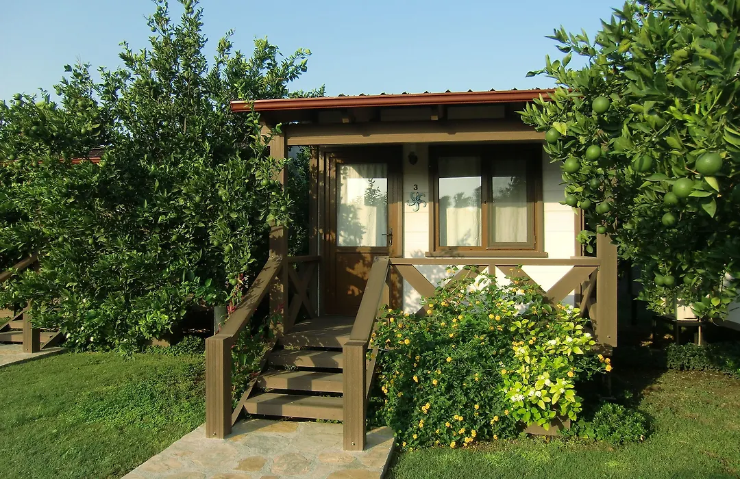 Sedir Resort - Hotel Rooms, Bungalows & Suites-1